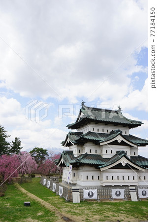 櫻花名勝弘前公園 櫻花名勝弘前公園 77184150