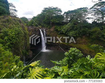 Waterfall on the Island of Hawaii 77185083