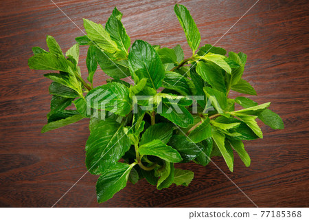 莫吉托薄荷、耶爾巴布埃納 77185368