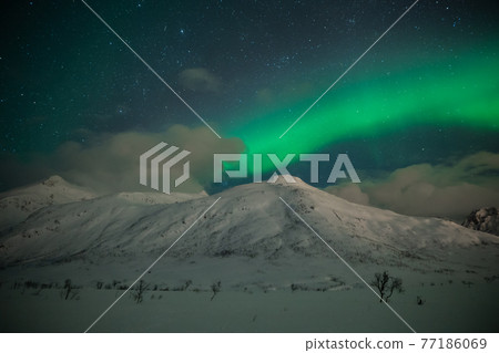 Aurora and us monopolize natural phenomena, Aurora and us monopolize natural phenomena, 77186069