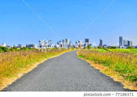 從赤羽高爾夫俱樂部附近眺望荒川的川口站 [2020.11] 77186371