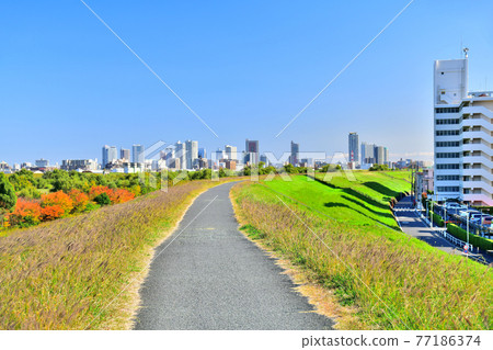 Looking toward Kawaguchi Station over Arakawa from the vicinity of Akabane Golf Club [2020.11] 77186374
