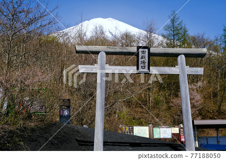 【靜岡】春天的富士山御殿場出口第5站 【靜岡】春天的富士山御殿場出口第5站 77188050