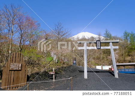 [Shizuoka] Mt. Fuji Gotemba Exit 5th Station in Spring 77188051
