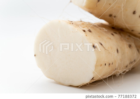 薯 77188372