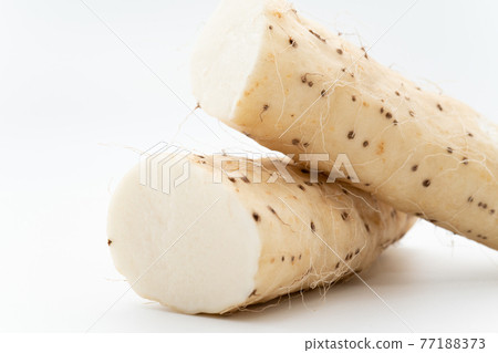 薯 薯 77188373