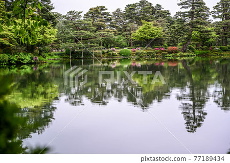 新鮮的綠色Kenrokuen 新鮮的綠色Kenrokuen 77189434