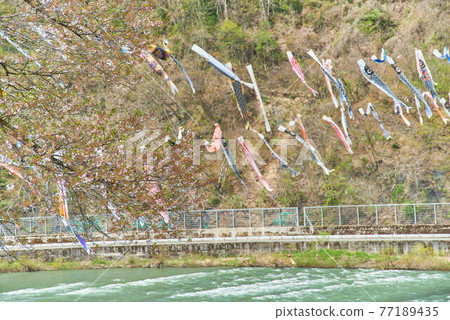 兒童節 山形縣白高町最上河戀之堀 兒童節 山形縣白高町最上河戀之堀 77189435