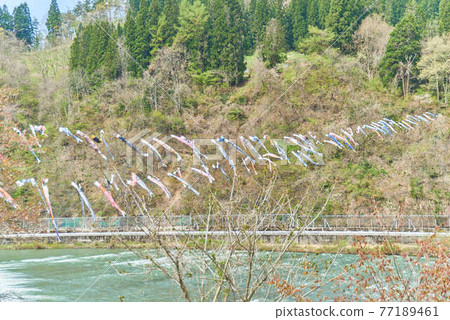 兒童節 山形縣白高町最上河戀之堀 兒童節 山形縣白高町最上河戀之堀 77189461