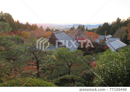 Hyakusaiji Temple at dusk-Autumn leaves seen from the distant view of the world- Hyakusaiji Temple at dusk-Autumn leaves seen from the distant view of the world- 77189490
