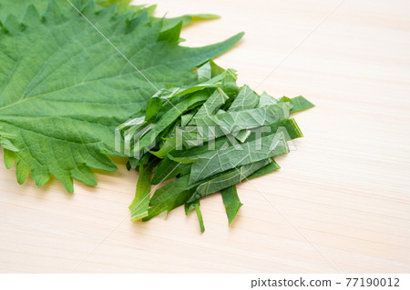 Macrophyll Macrophyll 77190012