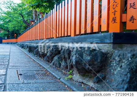 Photographing the fresh green of Gion Shirakawa, Higashiyama-ku, Kyoto Photographing the fresh green of Gion Shirakawa, Higashiyama-ku, Kyoto 77190416