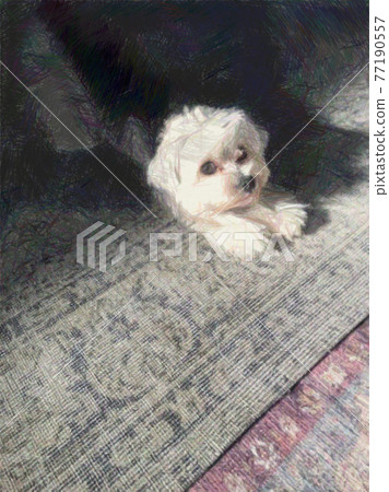 A dog that grows in the sun 77190557