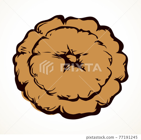 Pattypan squash fruit. Vector drawing Pattypan squash fruit. Vector drawing 77191245