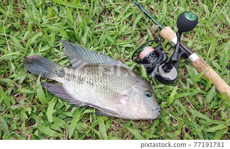 Game fishing clearance tackle