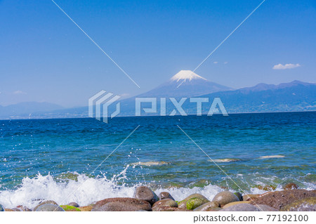 （靜岡縣）從尾瀨崎山頂眺望大海的富士山 77192100