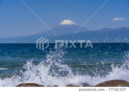 (Shizuoka Prefecture) Mt. Fuji over the sea seen from the tip of Ozezaki 77192107