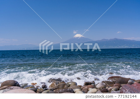 （靜岡縣）從尾瀨崎山頂眺望大海的富士山 77192144