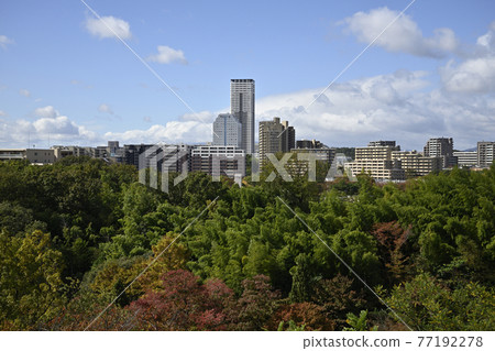 View toward Senri New Town Shinsenri Higashimachi / Shinsenri Kitamachi (Toyonaka City, Osaka Prefecture) from the observation deck of Senri Chuo Park View toward Senri New Town Shinsenri Higashimachi / Shinsenri Kitamachi (Toyonaka City, Osaka Prefecture) from the observation deck of Senri Chuo Park 77192278