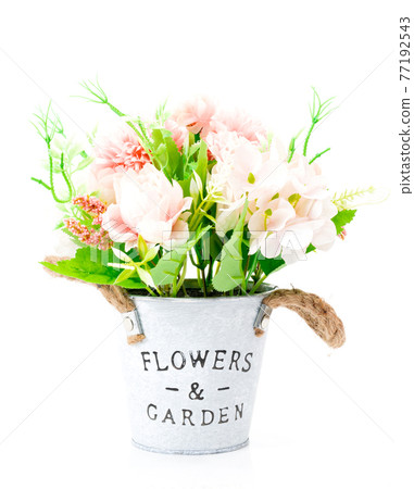 A flower in a pot on a white background A flower in a pot on a white background 77192543