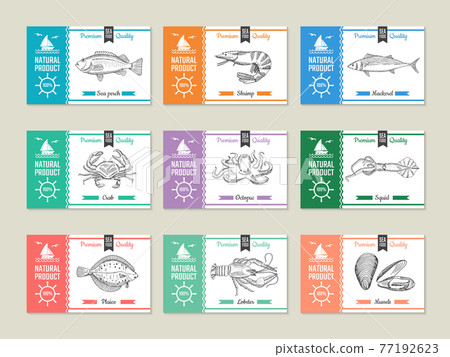 Seafood labels. Design template with hand drawn illustrations of fish and other seafood 77192623