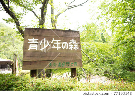 Oita City Oita Prefectural Forest Oita City Oita Prefectural Forest 77193148