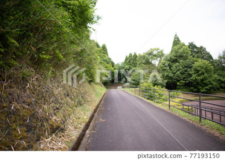 Oita City Oita Prefectural Forest Oita City Oita Prefectural Forest 77193150