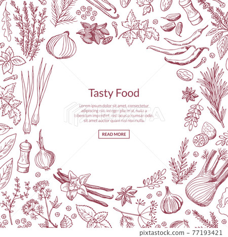 hand drawn herbs and spices background with place for text illustration hand drawn herbs and spices background with place for text illustration 77193421