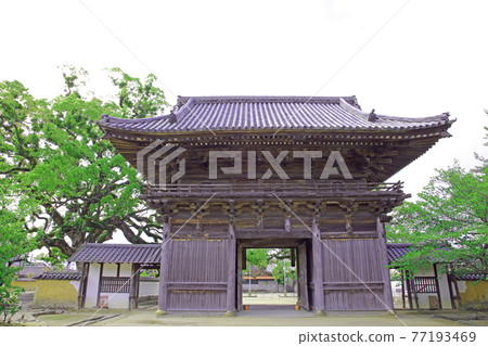 Shogun Kokubunji Shogun Kokubunji 77193469