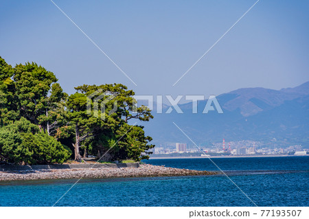 (靜岡縣)從大瀨崎海邊眺望沼津 (靜岡縣)從大瀨崎海邊眺望沼津 77193507