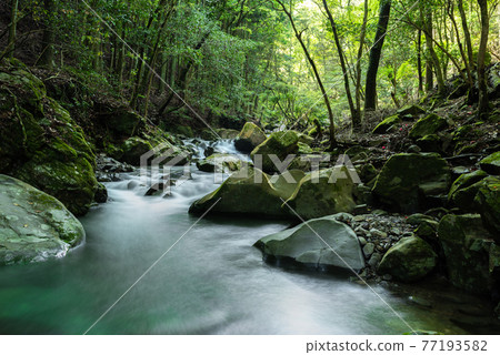 Fresh green valley 77193582