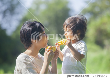 父母和孩子在田裡吃玉米 父母和孩子在田裡吃玉米 77193637