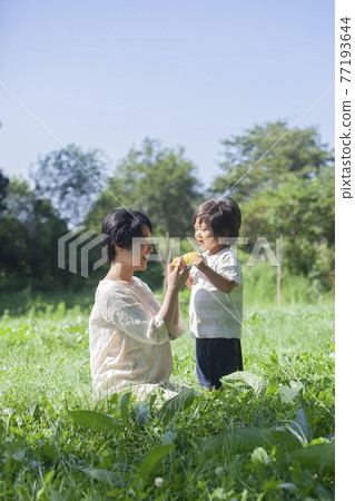 父母和孩子在田裡吃玉米 父母和孩子在田裡吃玉米 77193644