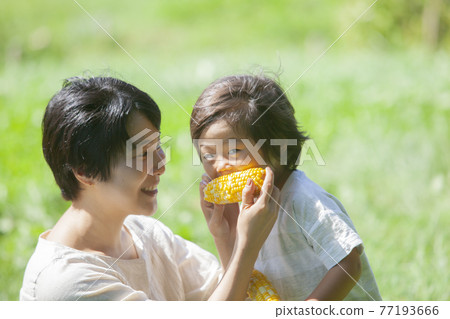 父母和孩子在田裡吃玉米 77193666