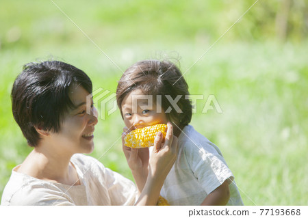 父母和孩子在田裡吃玉米 77193668