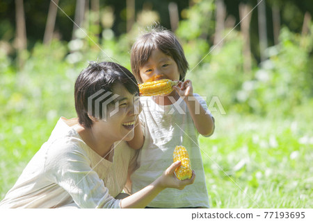 父母和孩子在田裡吃玉米 父母和孩子在田裡吃玉米 77193695