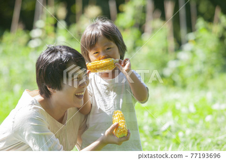 Parents and children eating corn in the field 77193696