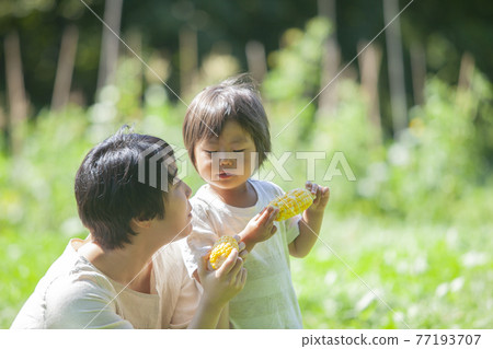 父母和孩子在田裡吃玉米 父母和孩子在田裡吃玉米 77193707