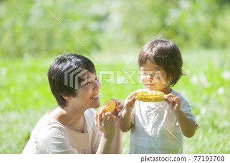 父母和孩子在田裡吃玉米 77193708
