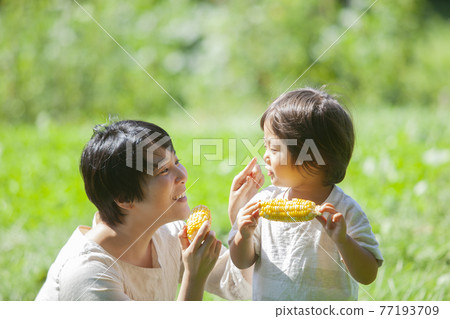 父母和孩子在田裡吃玉米 父母和孩子在田裡吃玉米 77193709