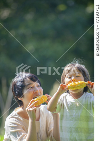 Parents and children eating corn in the field 77193711