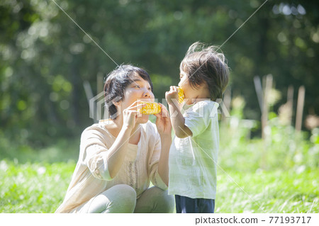 Parents and children eating corn in the field 77193717