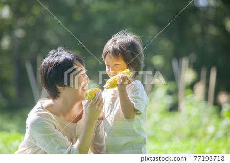 Parents and children eating corn in the field Parents and children eating corn in the field 77193718