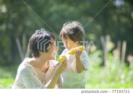 Parents and children eating corn in the field 77193721