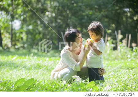 父母和孩子在田裡吃玉米 父母和孩子在田裡吃玉米 77193724