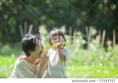 Parents and children eating corn in the field 77193737