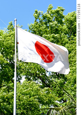 Flapping day flag 77195118