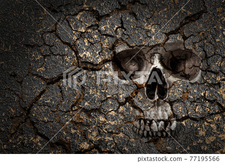 Skull pattern on cracked wall Skull pattern on cracked wall 77195566