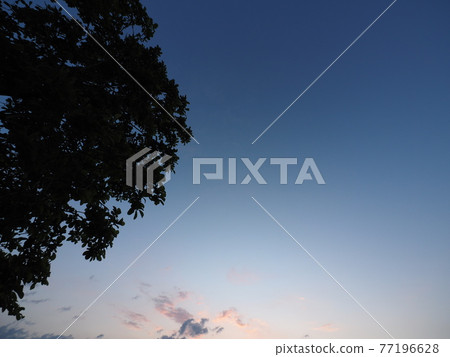 清晨 清晨 77196628