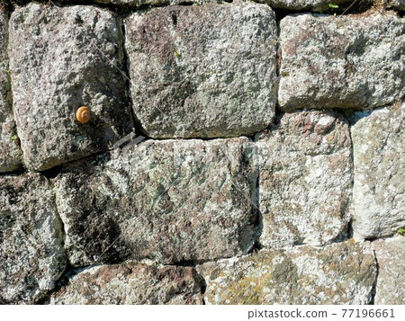 長崎縣島原市武士住宅火山岩石牆 長崎縣島原市武士住宅火山岩石牆 77196661